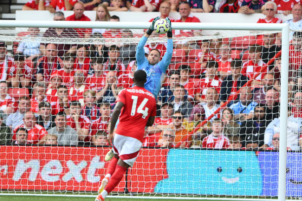 我们理应欢 我们理应欢